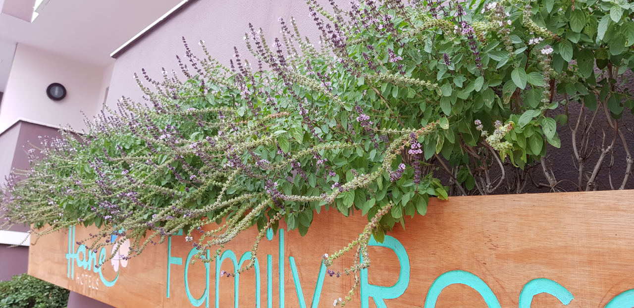 Garten Hane Family Resort