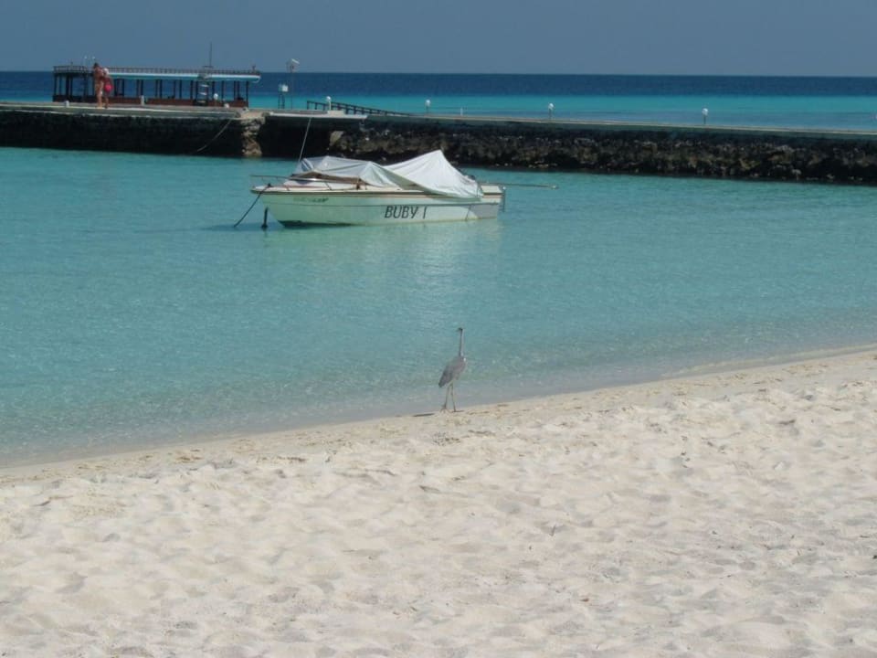 Weg zum Pier Summer Island Maldives