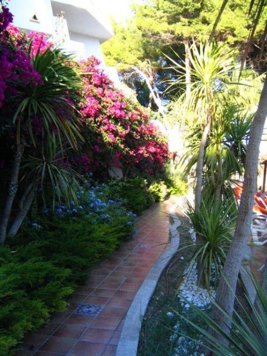 *N und M* Hotel-Garten Iberostar Waves Playa de Muro