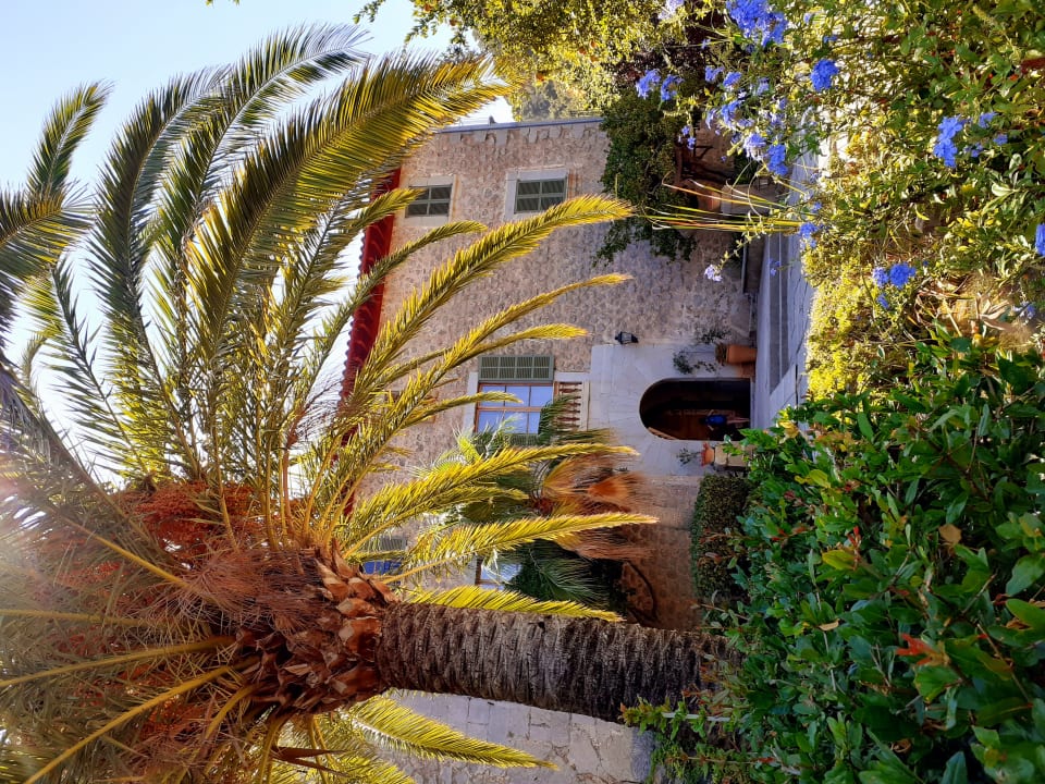 Außenansicht Hotel Es Port