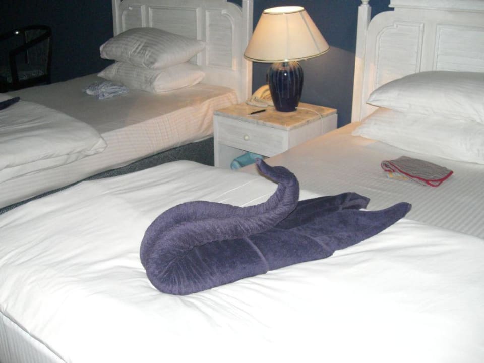 Cudeńka z ręczników Parrotel Beach Resort