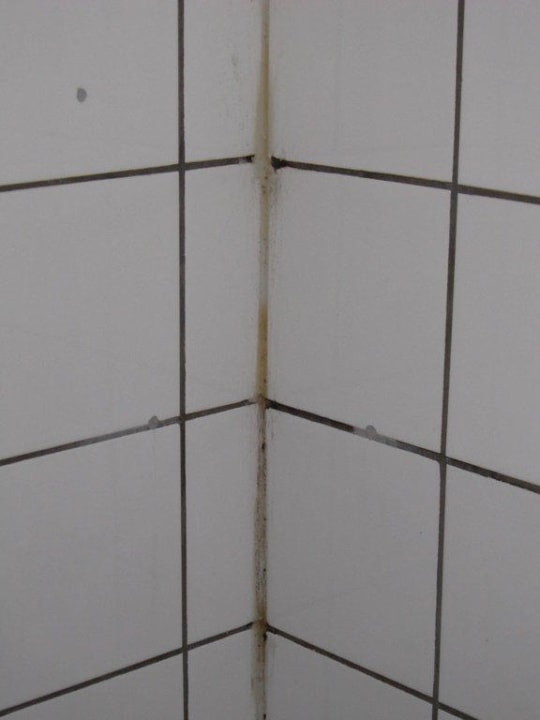 Bad, Duschbereich Camping- und Ferienpark Markgrafenheide