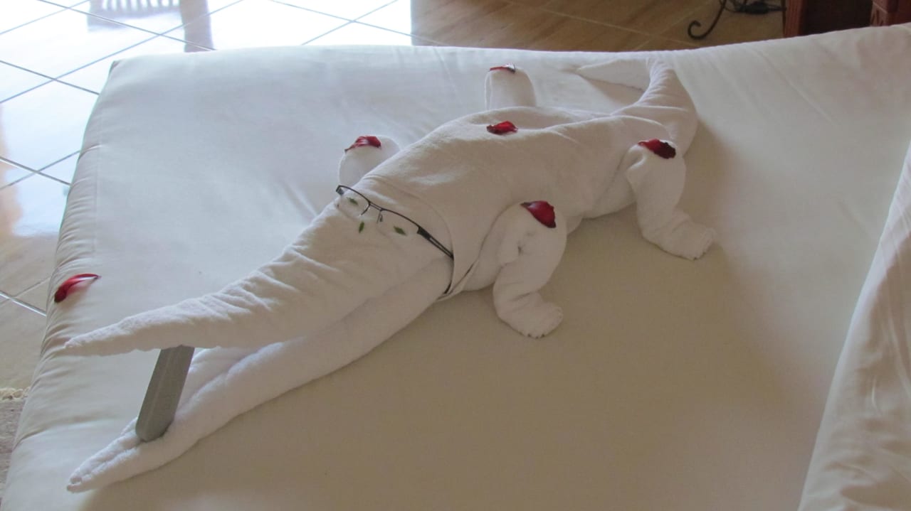 Krokodil Malikia Resort Abu Dabbab