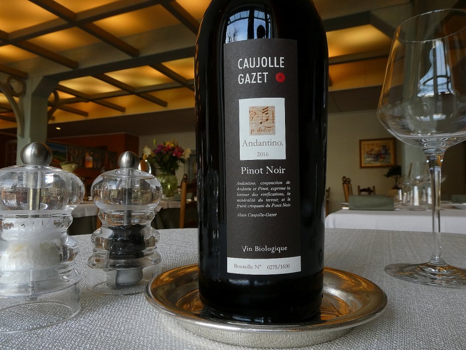 Gastro Hotel Logis le Mont Aigoual