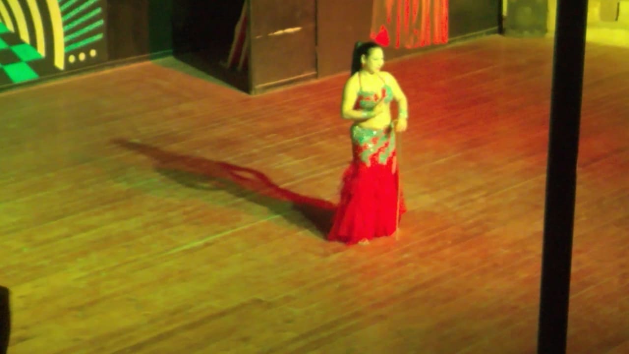 Oriantel Show Pickalbatros Citadel Resort