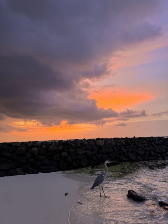 Strand Summer Island Maldives