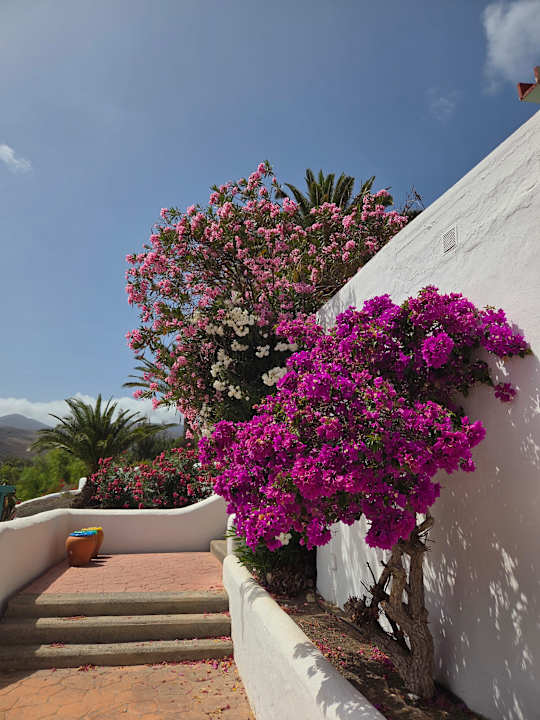 Außenansicht Aldiana Club Fuerteventura