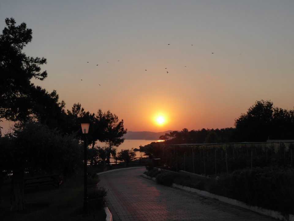 Ausblick Alexandra Beach Thassos Spa Resort