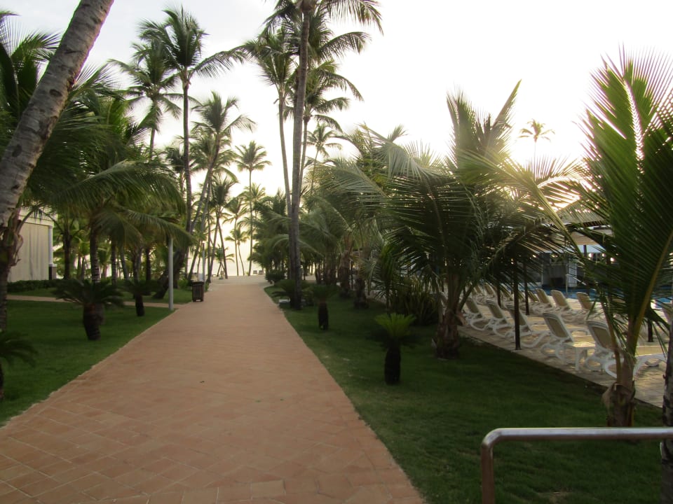 Gartenanlage Hotel Riu Bambu