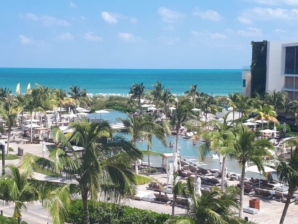 Ausblick TRS Coral Hotel - Adults Only