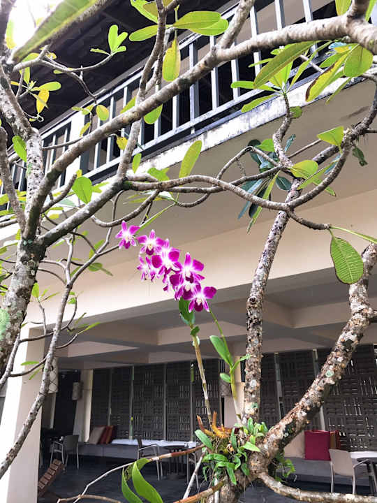 Zimmer The Grand Southsea Khaolak Beach Resort