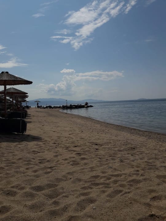 Strand Blue Dolphin Resort Hotel