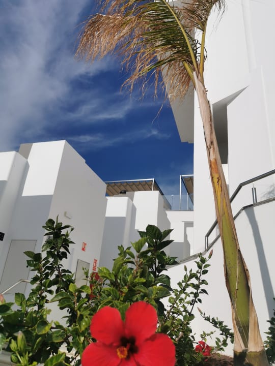 Sonstiges Hotel Riu Palace Jandia