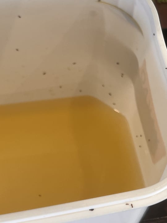 Sonstiges Hotel Akti Coast Club Marmari Kos