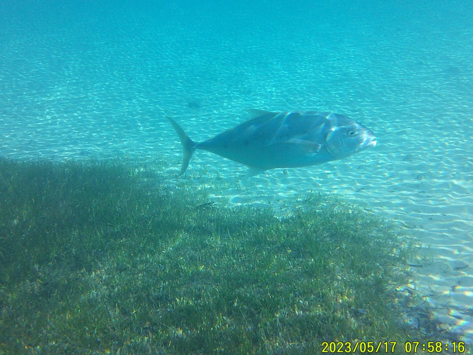 Sport & Freizeit Shams Prestige Abu Soma-Adults Only