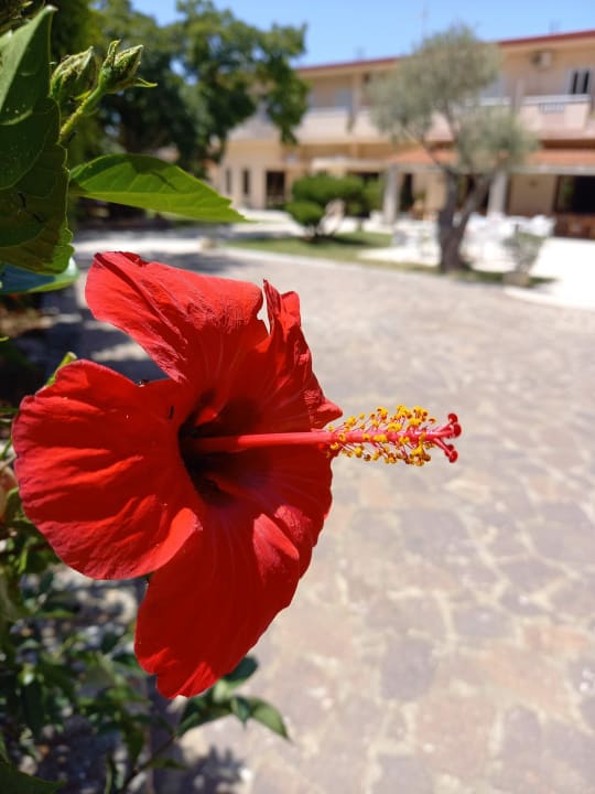 Außenansicht Hotel Calabrisella