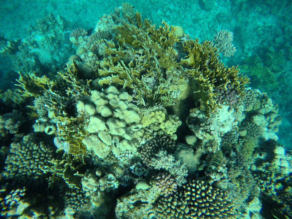 Strand Three Corners Sea Beach Resort