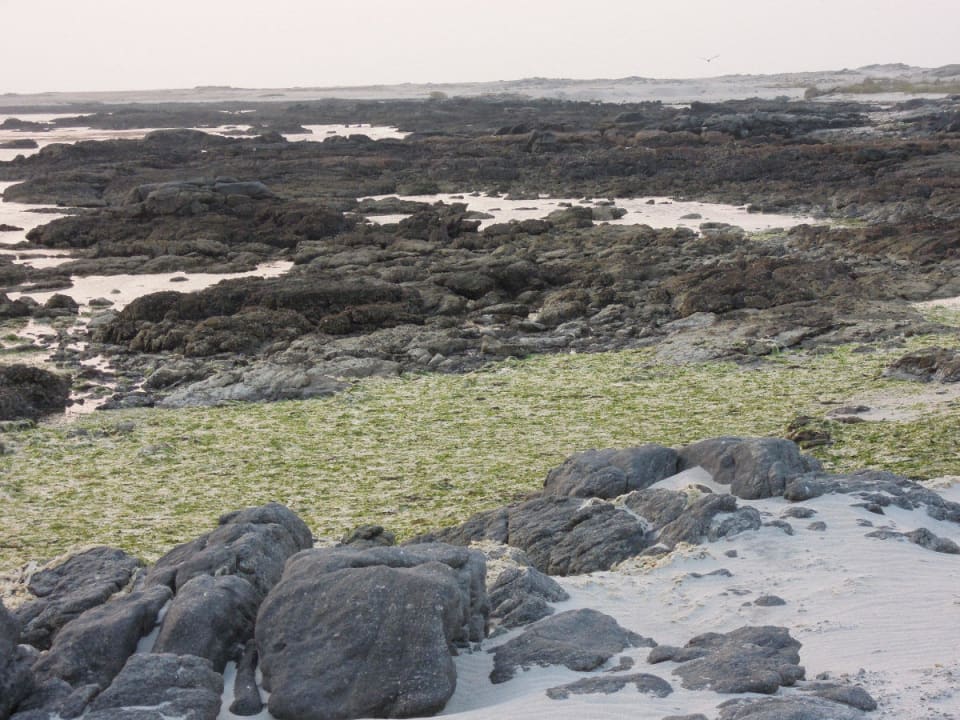 Stein und Algen Wyndham Garden Salalah Mirbat