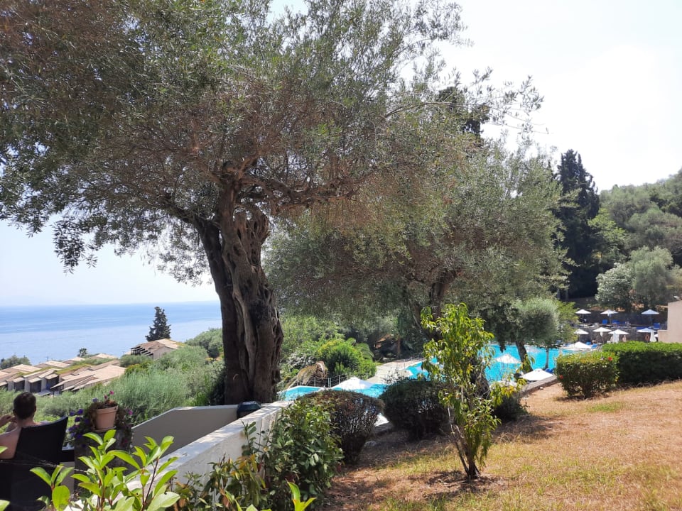 Gartenanlage Aeolos Beach Resort