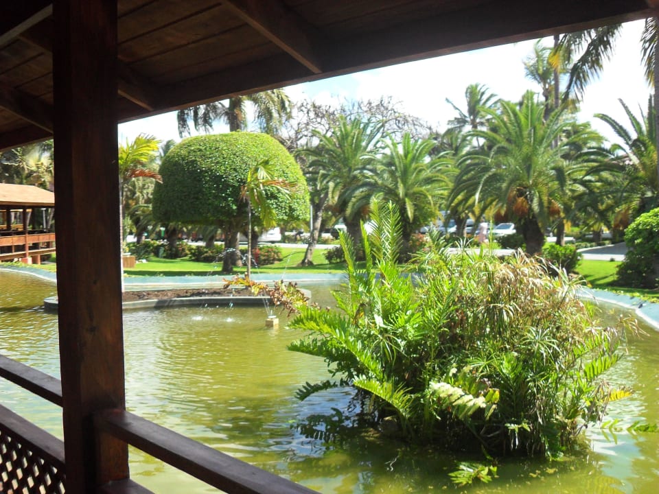 Hotel Grand Palladium Bávaro Suites Resort & Spa Grand Palladium Select Bávaro Resort & Spa