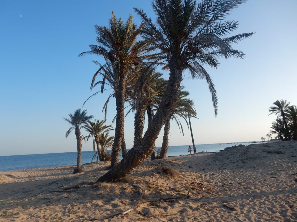 Strand Hotel El Mouradi Djerba Menzel