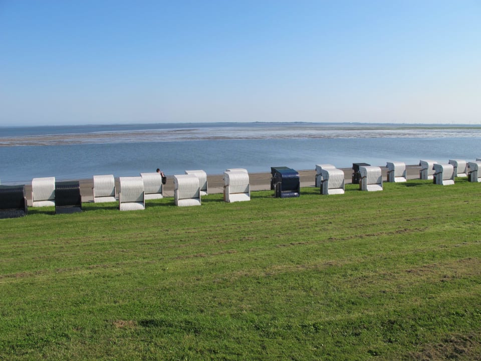 Auf Meer und Strandkörbe Akzent Strandhotels Seestern, Delphin & Lachs