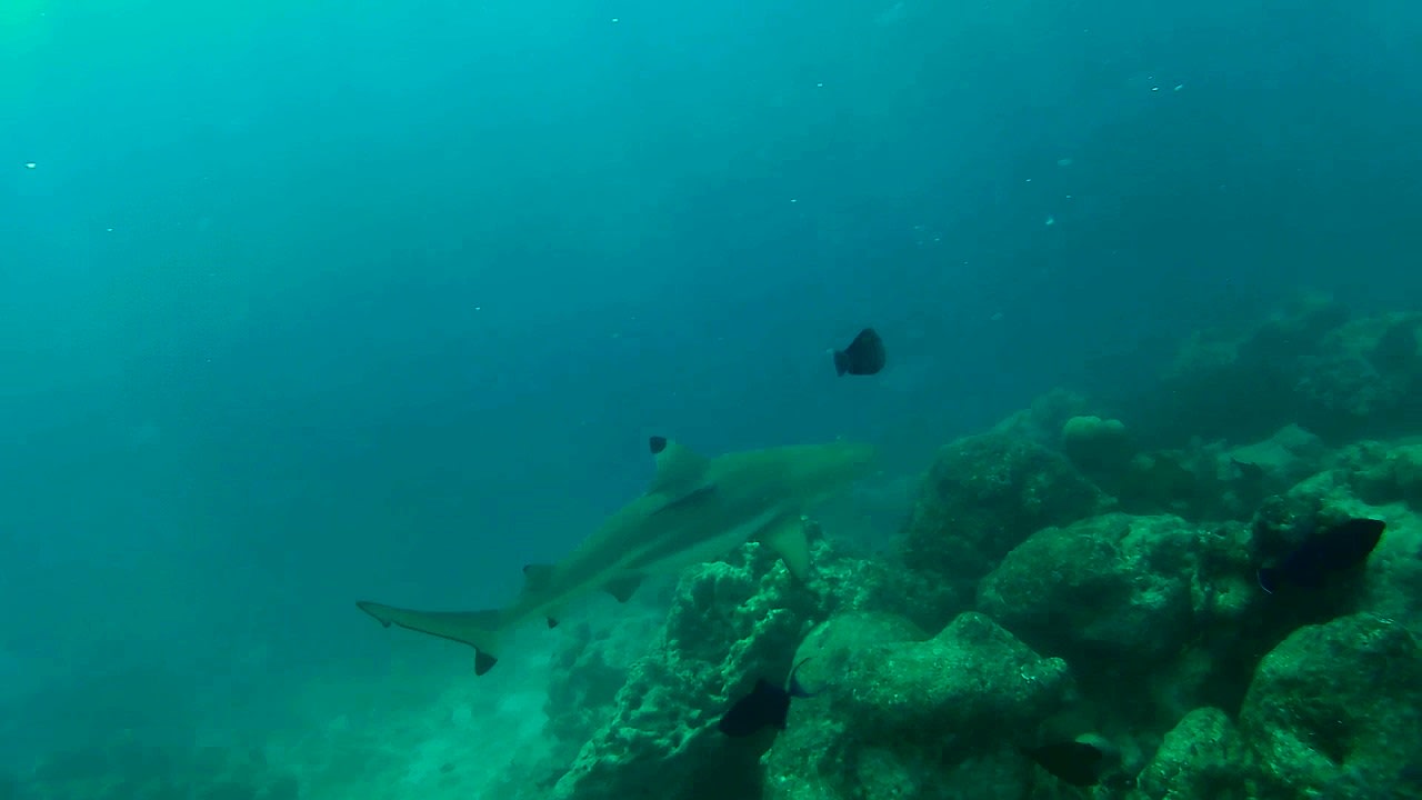 Sport & Freizeit Adaaran Select Hudhuran Fushi - Premium All Inclusive