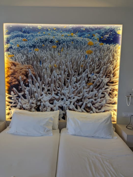 Zimmer Iberostar Selection Fuerteventura Palace