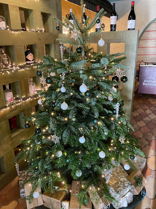 Lobby Sure Hotel by Best Western Rhoen Garden