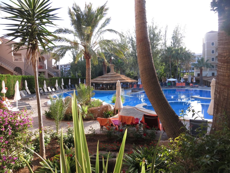 Mit Bar im Pool in der Bildmitte. R2 Lago Playa Park