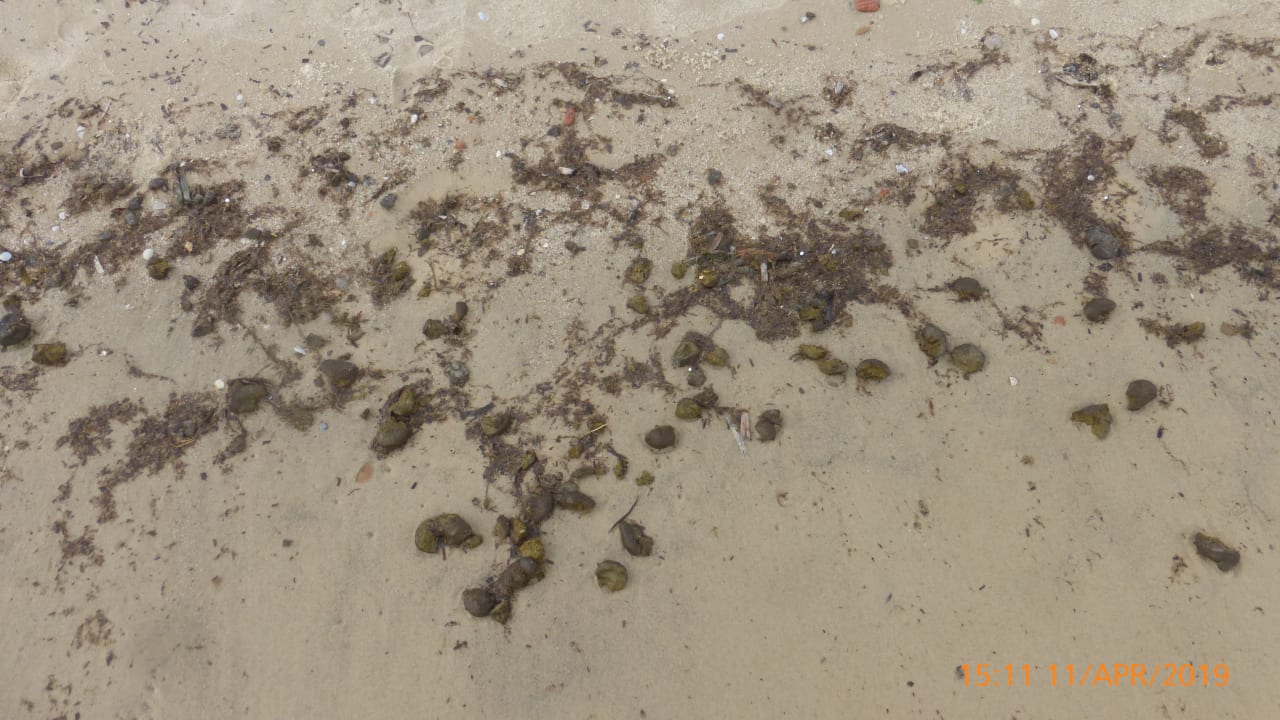 Strand The Orangers Beach Resort and Bungalows