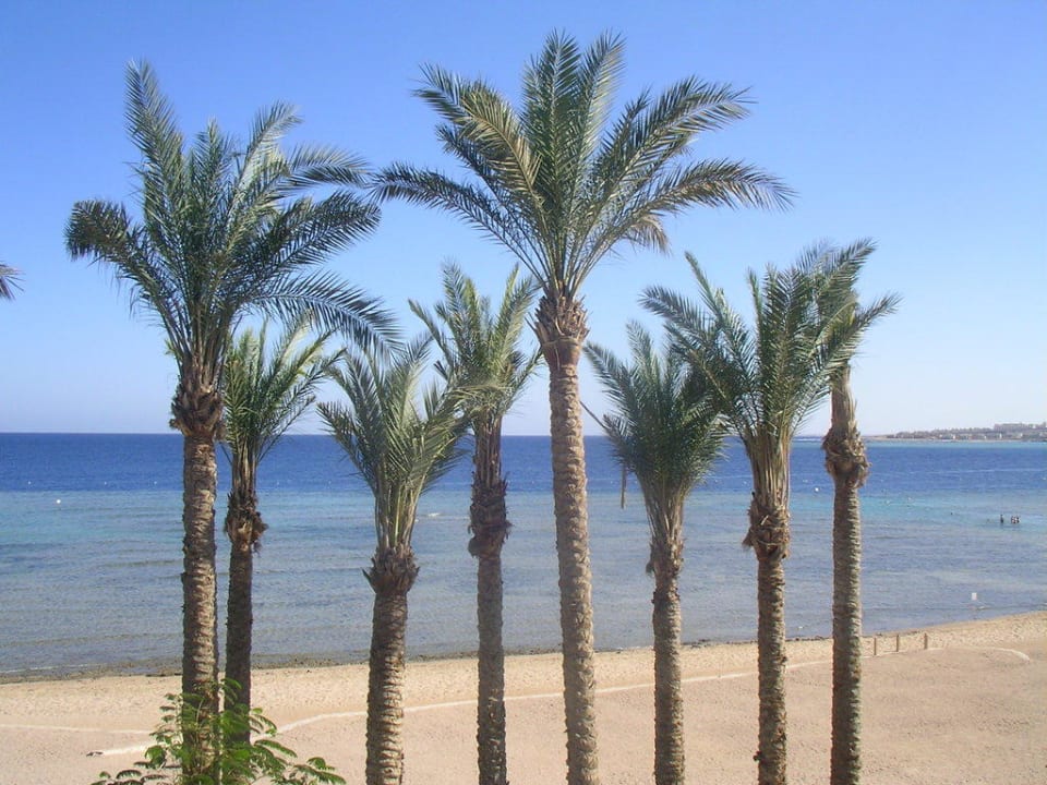 Tolle Aussicht Makadi Palace