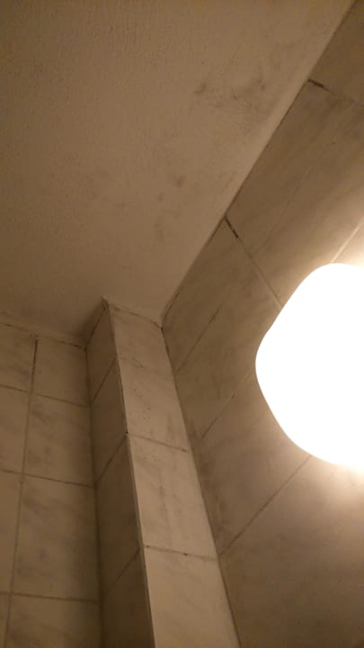 Bad mit Schimmel Desert Rose