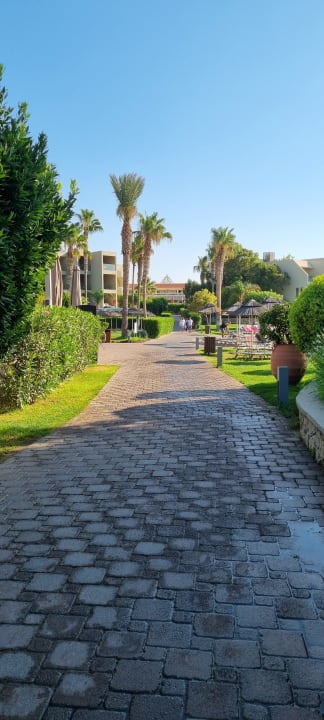 Gartenanlage Atlantica Aegean Blue