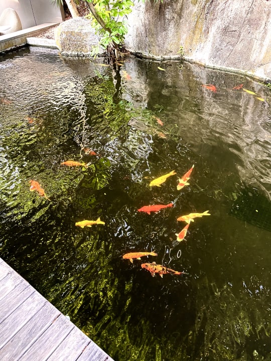 Gartenanlage Renaissance Phuket Resort & Spa