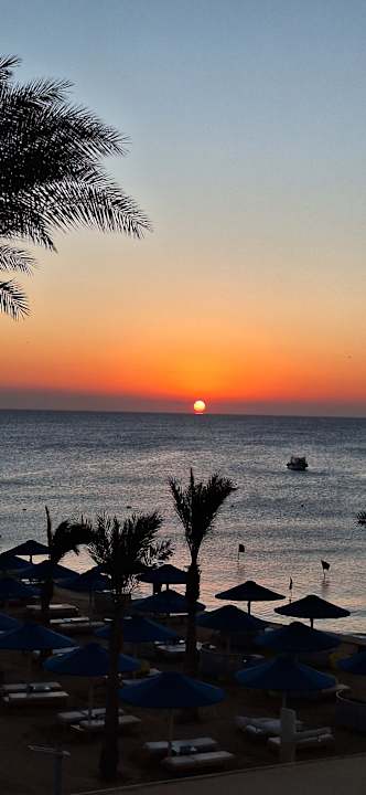 Ausblick Beach Albatros Resort