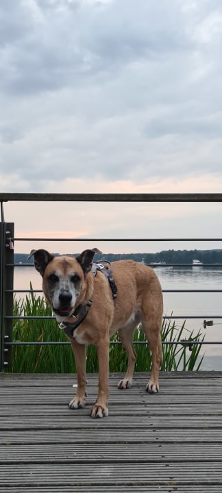 Sonstiges Victoria Suites