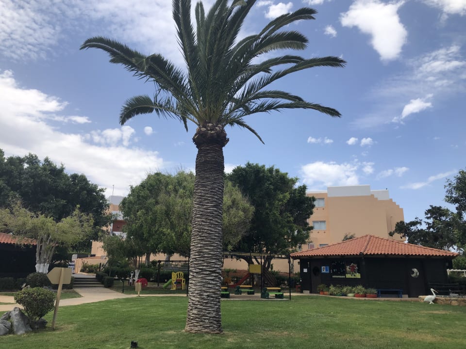 Sport & Freizeit Anissa Beach & Village