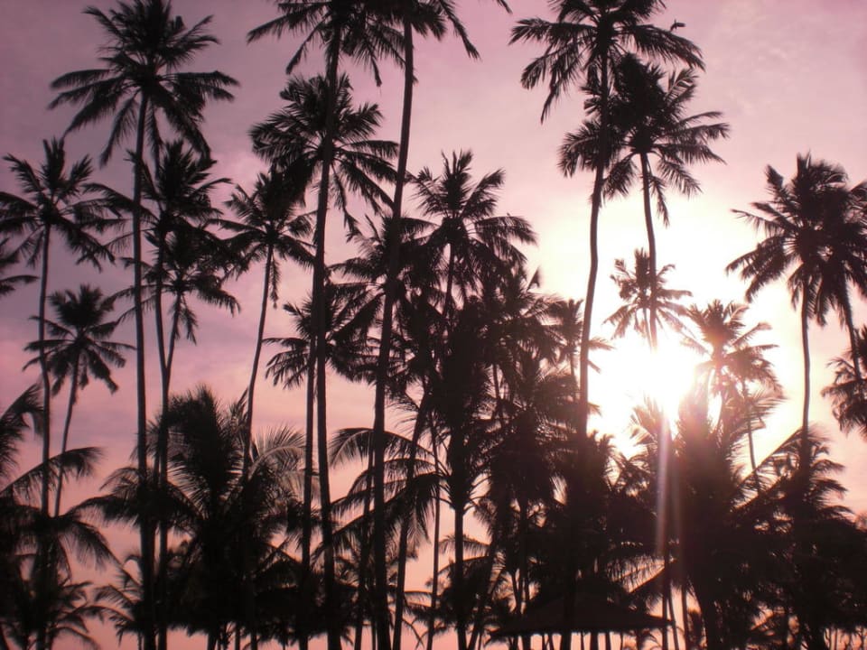 Sonnenuntergang vom Zimmer Mermaid Hotel & Club