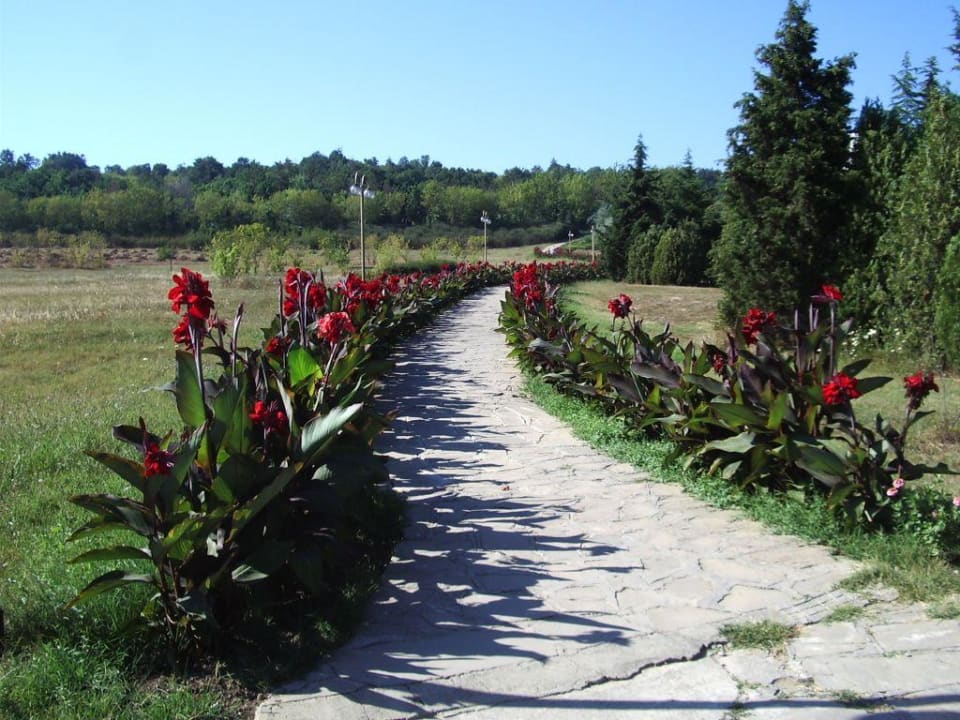 Zweite Wegmöglichkeit zum Strand bzw. Marina Hotel Duni Royal Pelican Resort