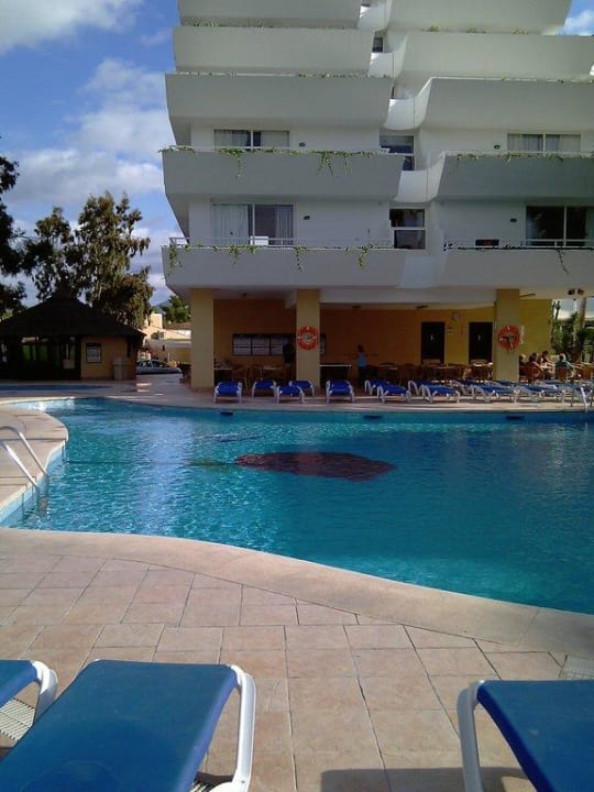 Poolaufnahme VIVA Eden Lago