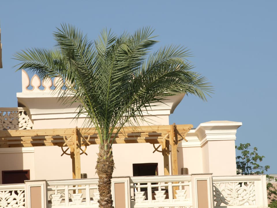Zimmer Pickalbatros Palace Resort