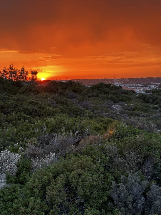 Ausblick Hotel Kalithea Horizon Royal