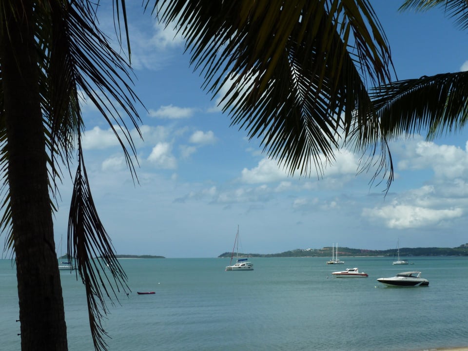 Chaweng Beach The Fair House Beach Resort