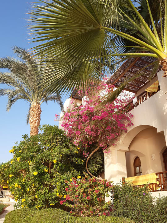 Außenansicht Sultan Bey Hotel, El Gouna