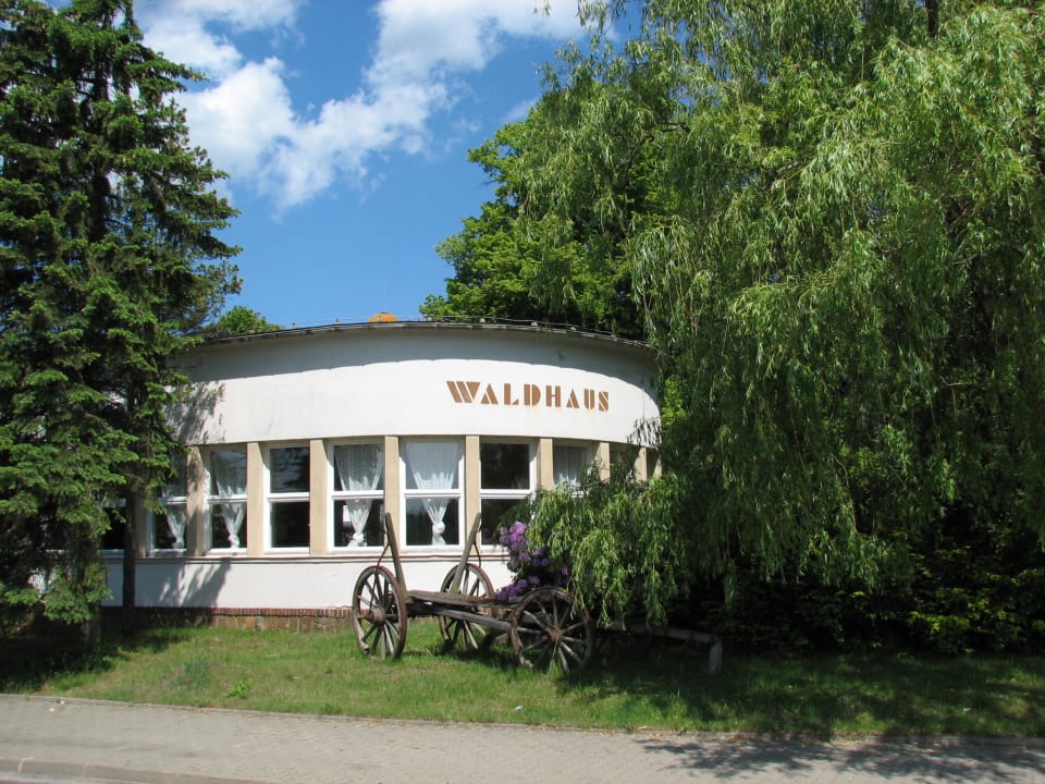 Hotel Colditz Gasthaus Waldhaus