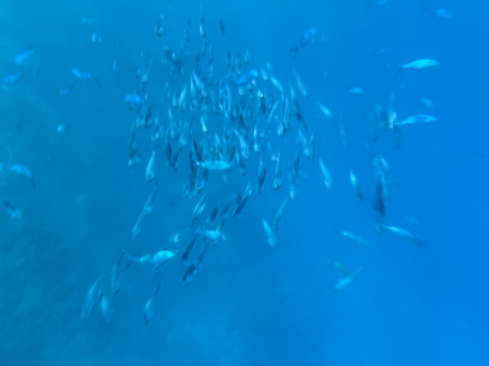 Strand Pickalbatros Vita Resort - Portofino Marsa Alam