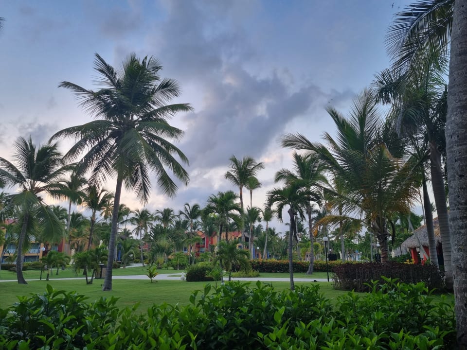 Gartenanlage Punta Cana Princess All Suites Resort & Spa