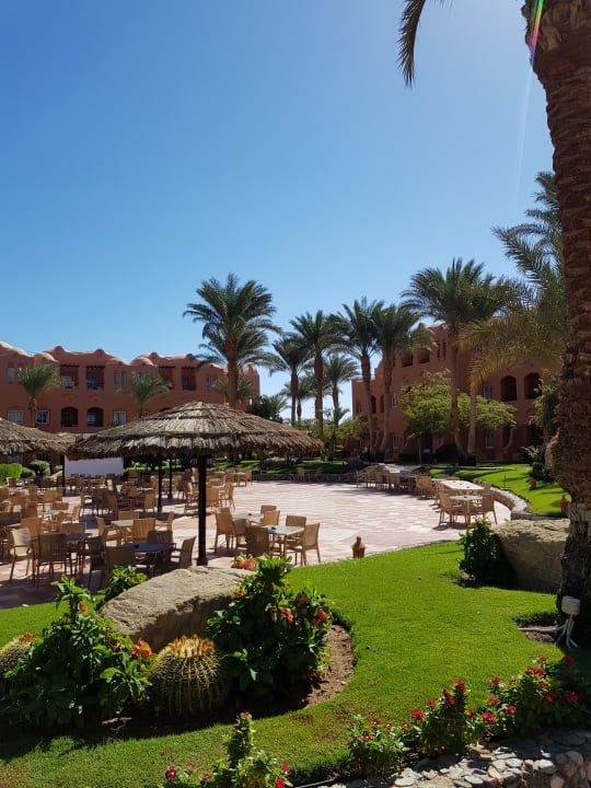 Garten Jaz Makadi Oasis Resort