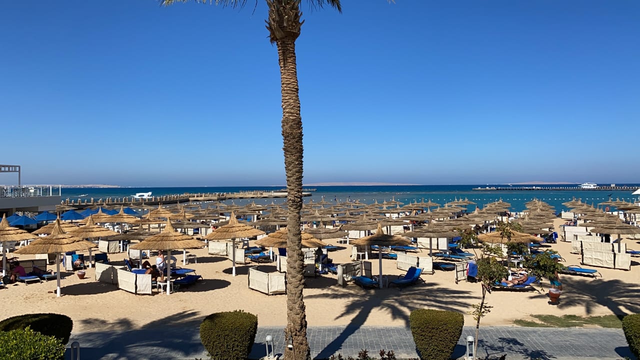 Ausblick Pickalbatros Dana Beach Resort - Hurghada